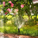 the benefits of installing irrigation